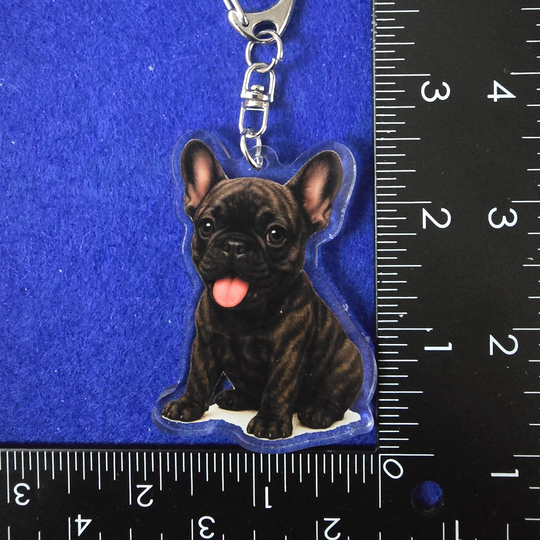 French Bulldog Brindle Watercolor Style - Acrylic Keychains next to a ruler