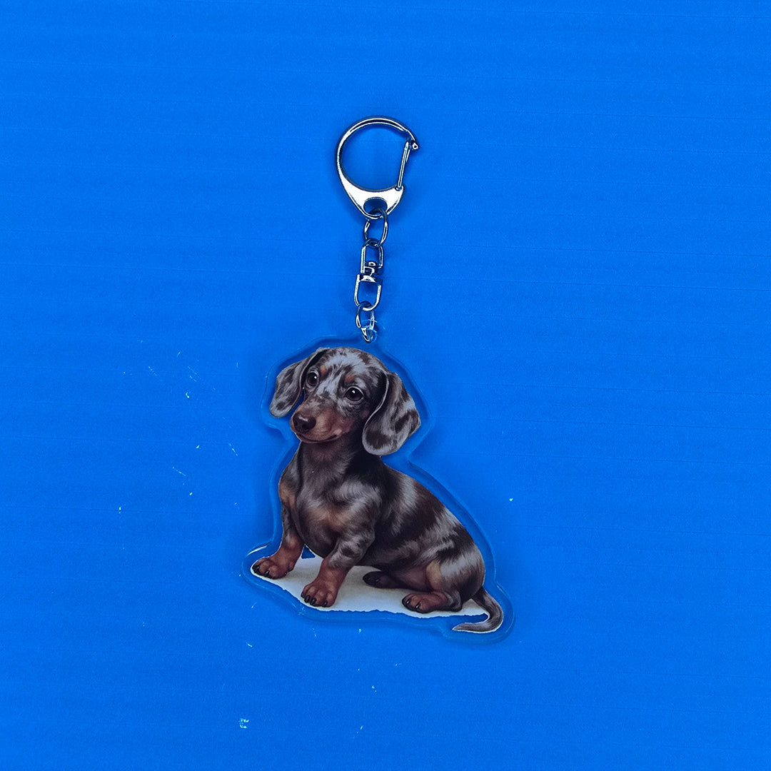 Dachshund Chocolate Dapple Watercolor Acrylic Keychain – Designs by Mysh