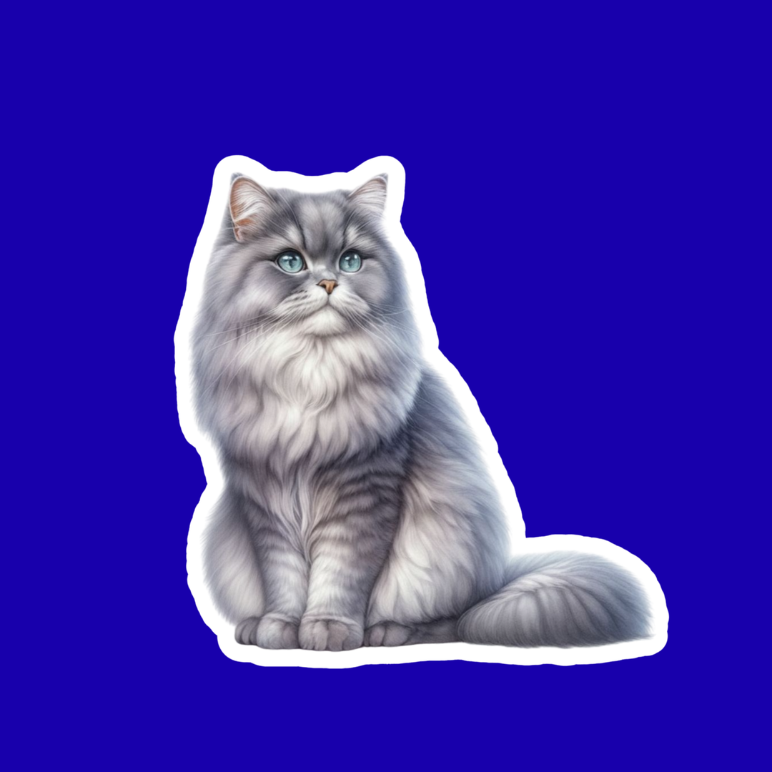 Illustration of a fluffy gray cat on a blue background