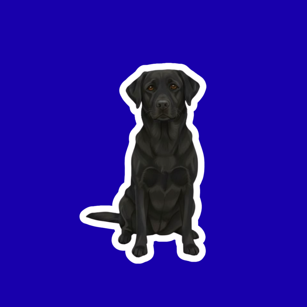 Black dog illustration on a blue background
