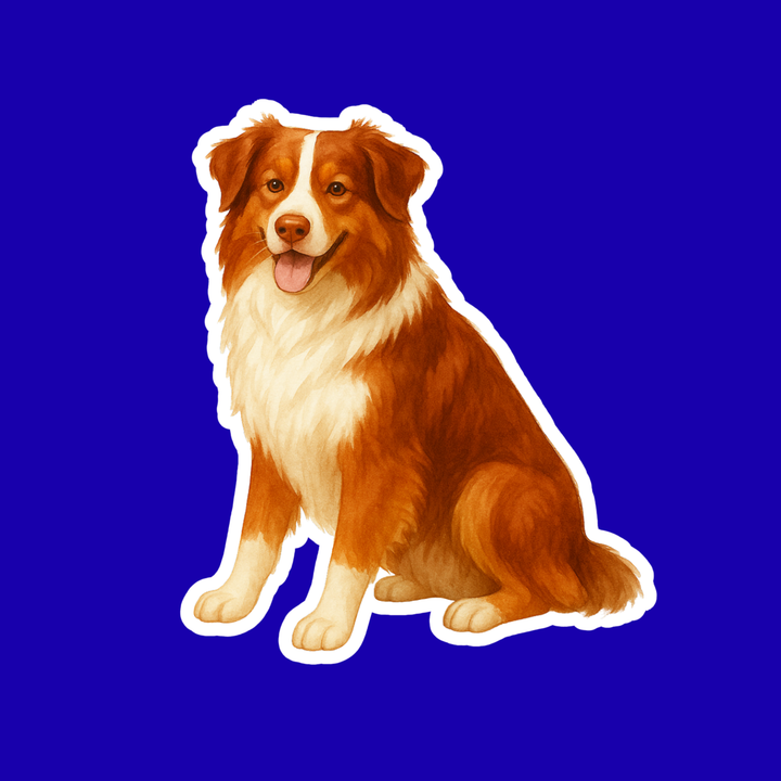 Australian Shepherd Red and White Watercolor Style - Vinyl Sticker - Designs by Mysh
