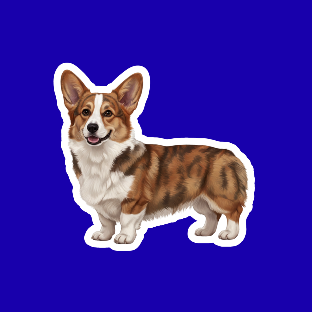 Sticker of a corgi dog on a blue background