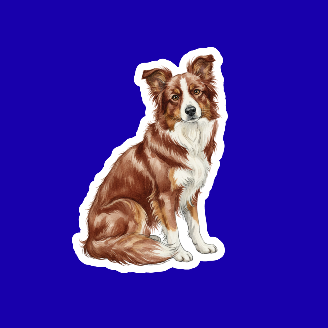 Border Collie Watercolor Style Vinyl Stickers - Designs by Mysh