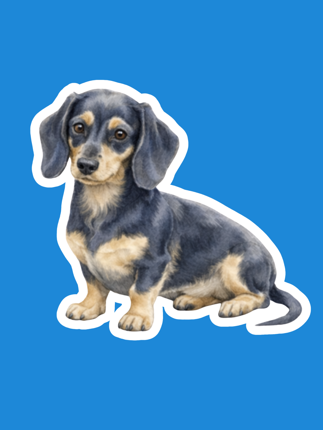 Stylized illustration of a dachshund on a blue background