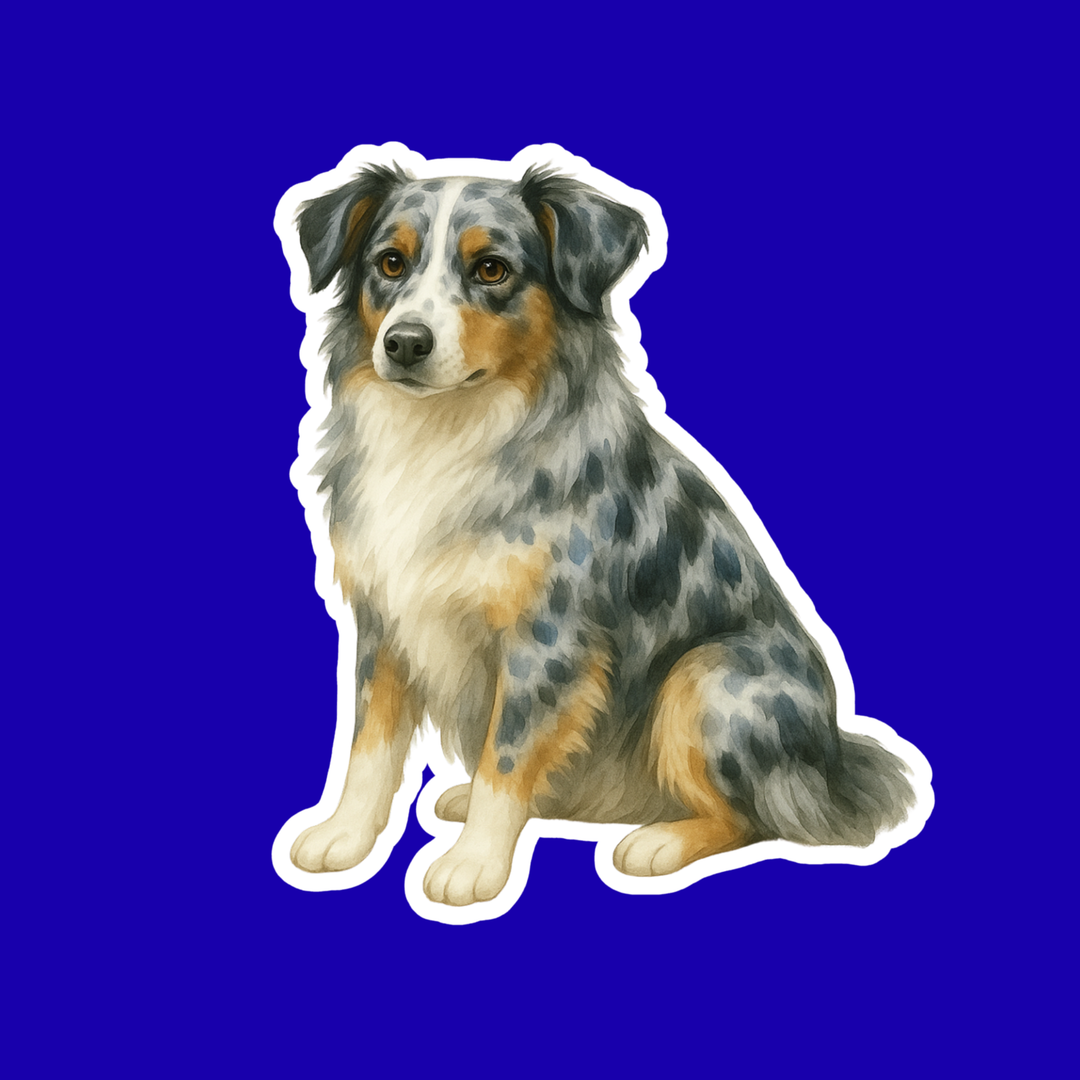 Australian Shepherd Blue Merle Watercolor Style - Vinyl Sticker - Designs by Mysh