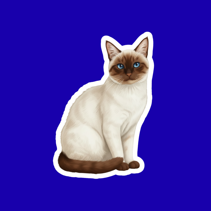 Cat illustration on a blue background
