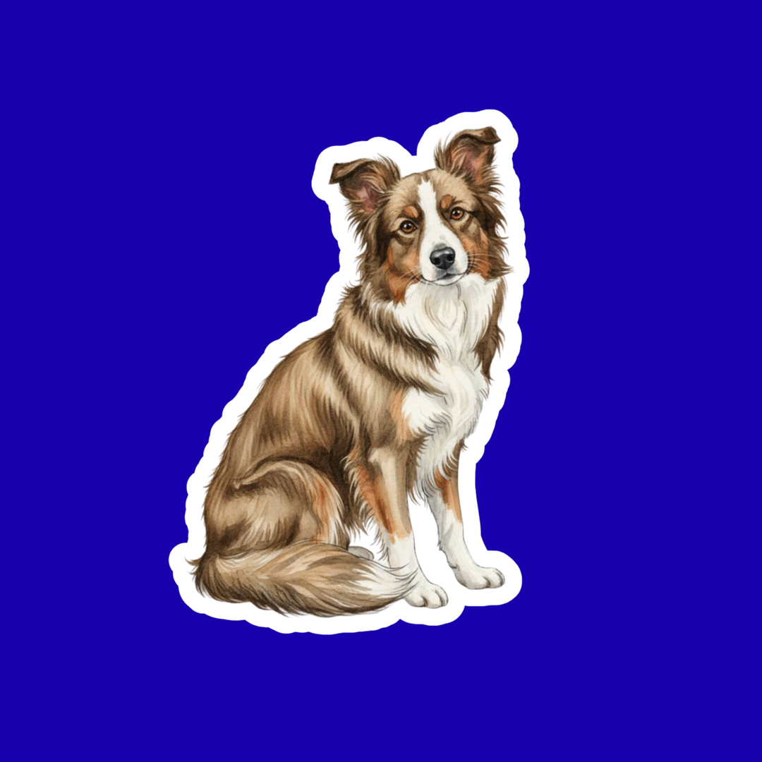 Border Collie Watercolor Style Vinyl Stickers - Designs by Mysh