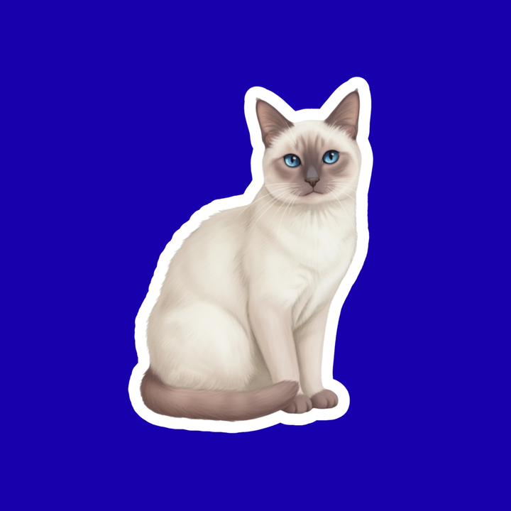 Illustration of a Siamese cat on a blue background