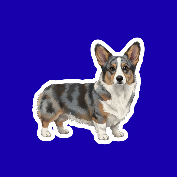 Sticker of a corgi dog on a blue background