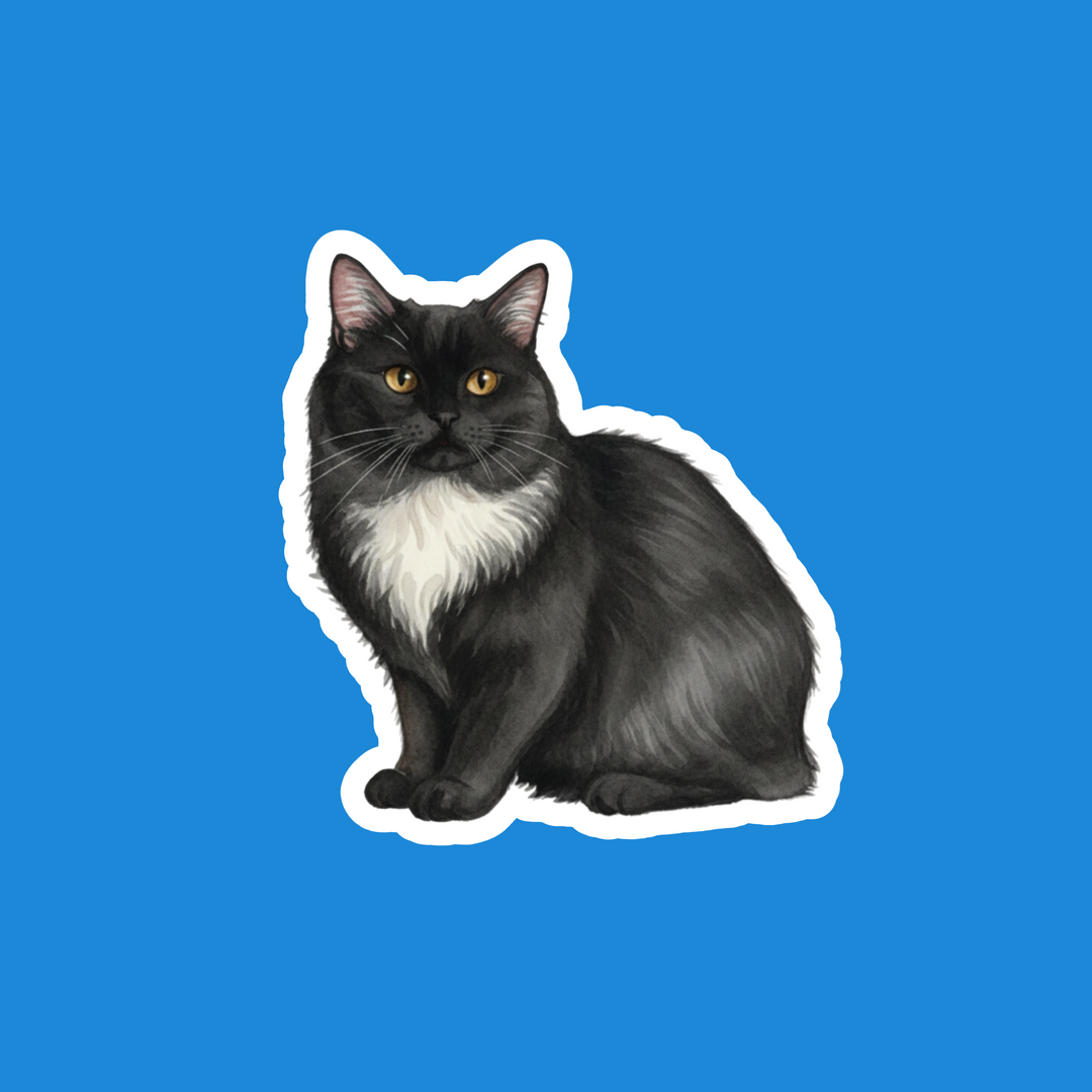 Manx Black &amp; White Cat Fridge Magnet | Watercolor Art