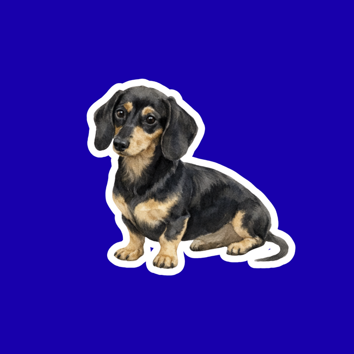 Sticker of a dachshund on a blue background