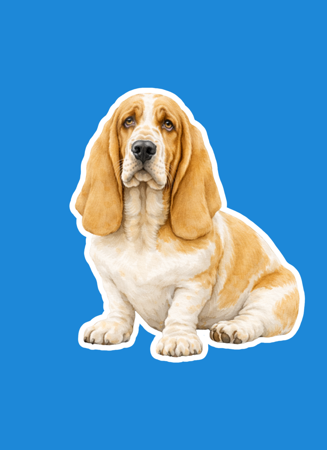 Stylized illustration of a basset hound on a blue background