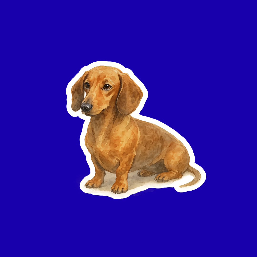 Sticker of a brown dachshund on a blue background