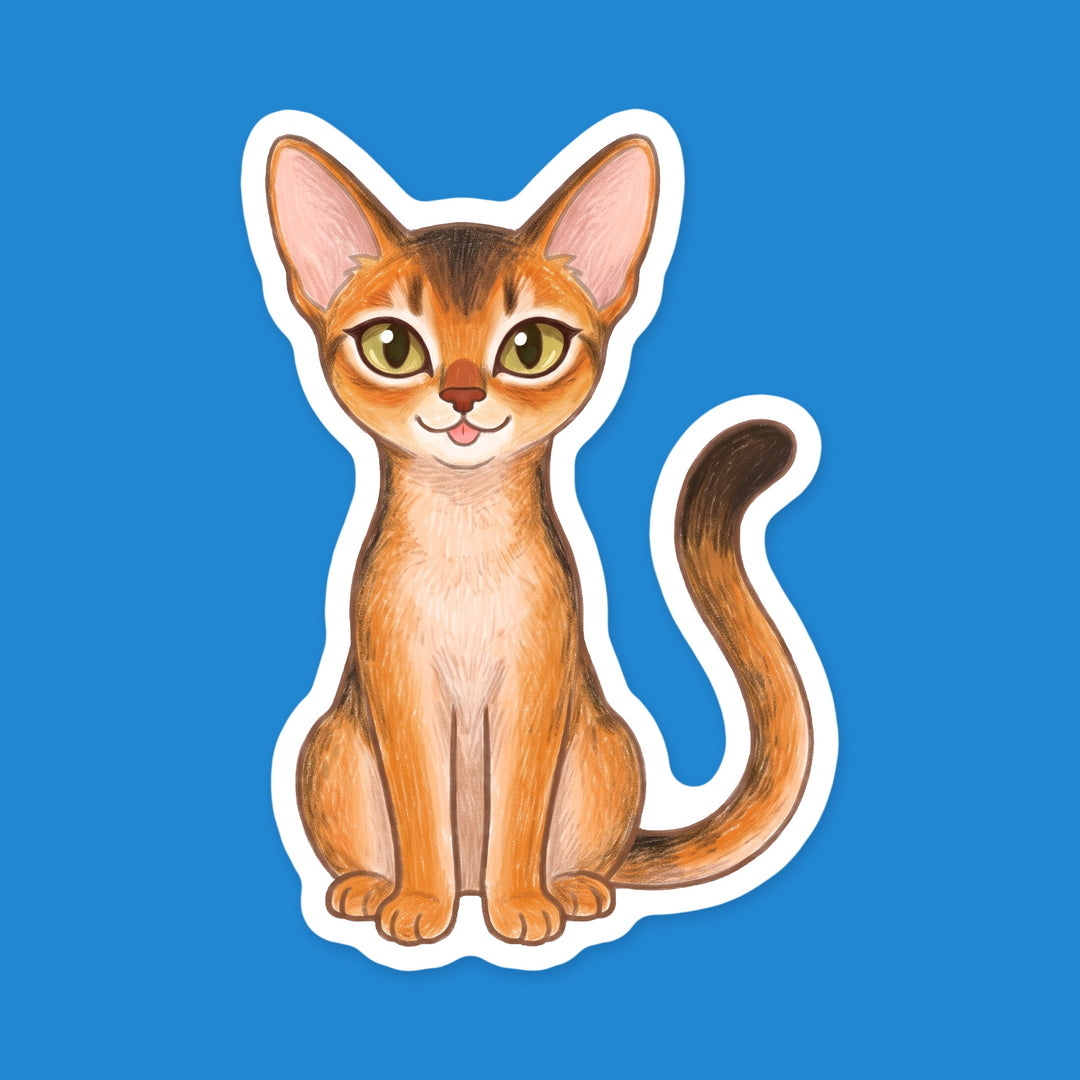 Abyssinian Ruddy kawaii vinyl sticker – Designs by Mysh