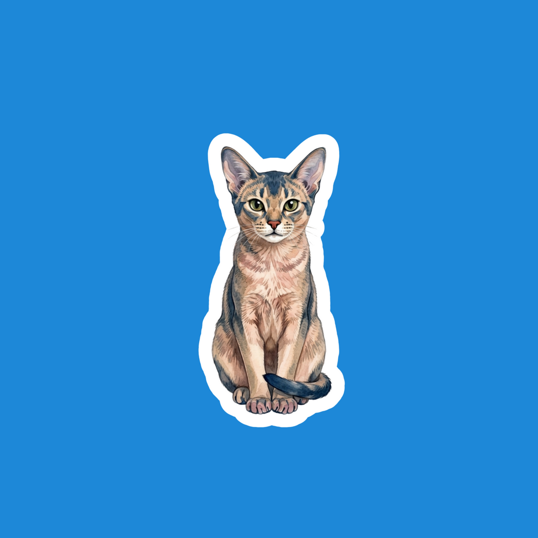 Abyssinian Blue Watercolor