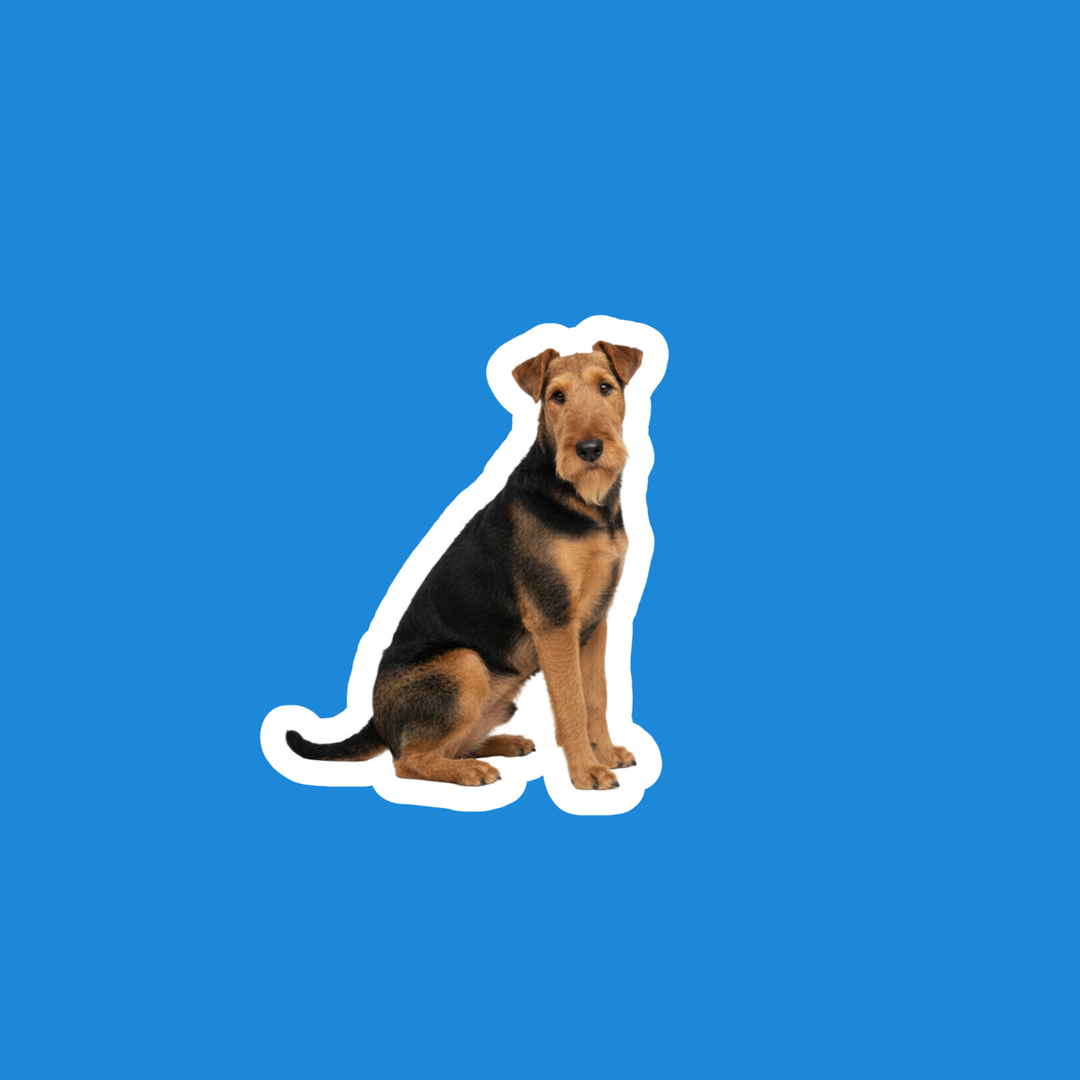 Airedale Terrier Black and Tan Watercolor Vinyl Sticker – Designs by Mysh
