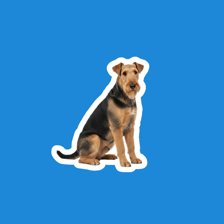 Airedale Terrier Grizzle Tan Watercolor Vinyl Sticker – Designs by Mysh