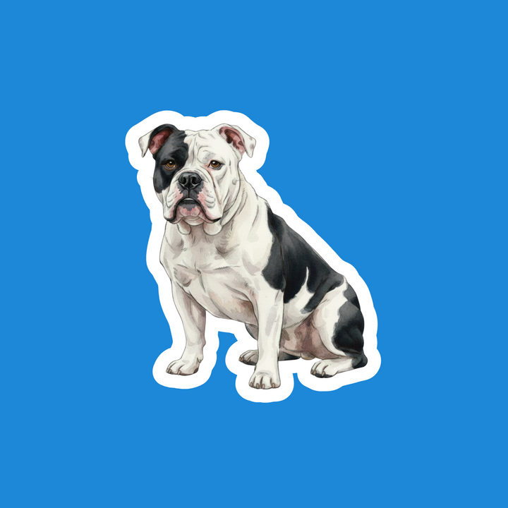 American Bulldog White and Black Watercolor