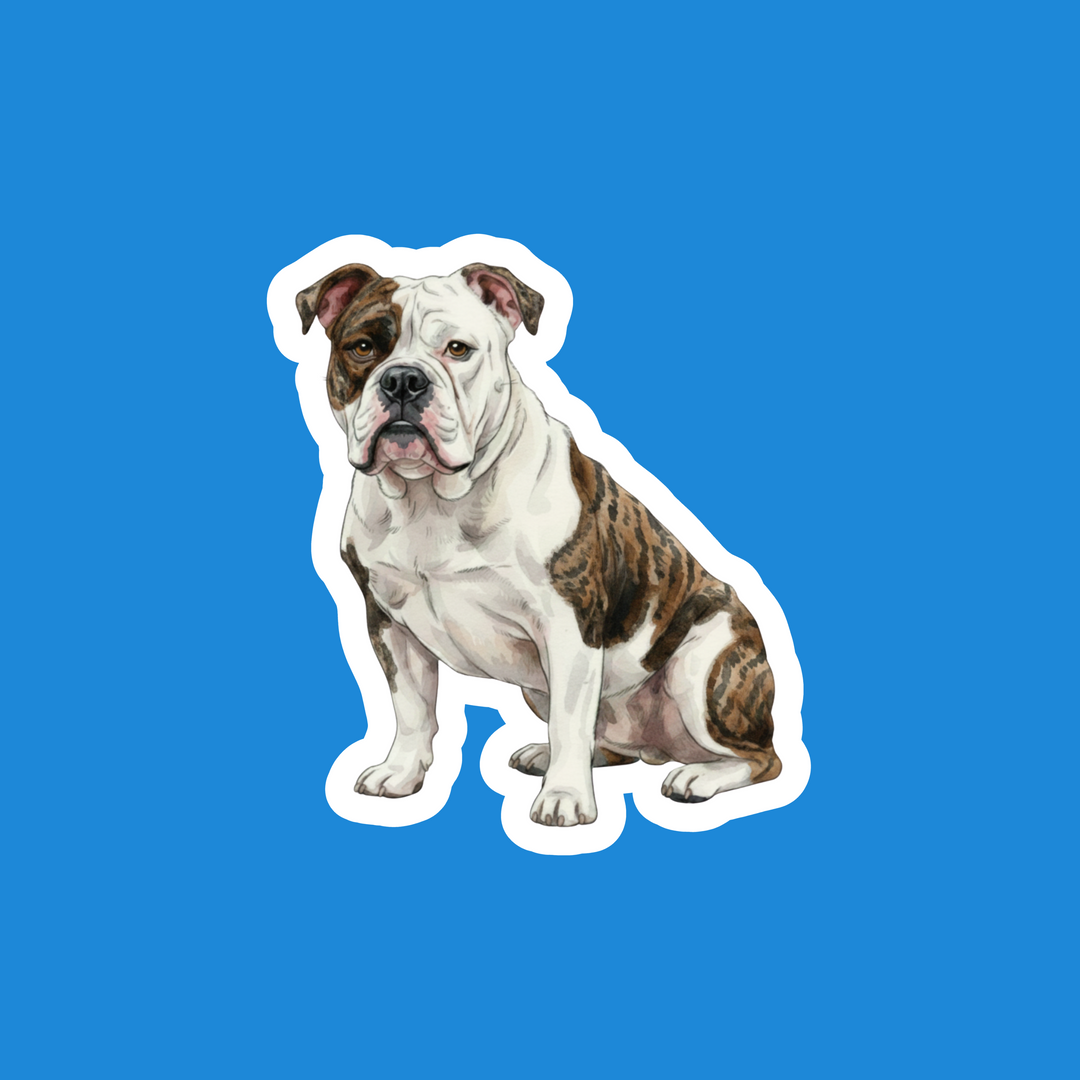 American Bulldog White Brindle Watercolor Vinyl Sticker – Designs by Mysh