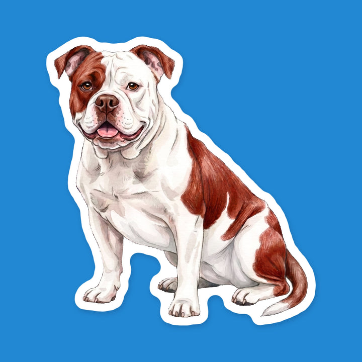 American Bulldog White and Red watercolor dog sticker