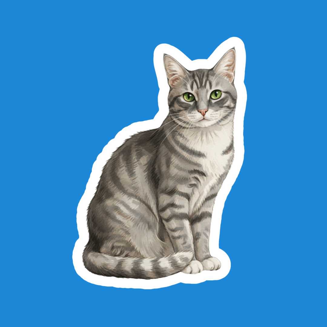 American Short Hair Gray Tabby Watercolor Vinyl Sticker – Designs by Mysh