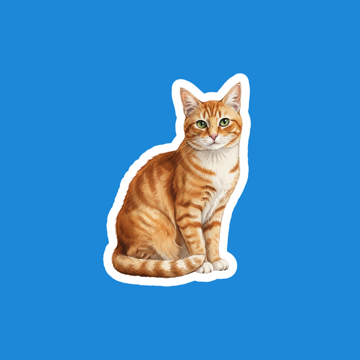 American Short Hair Orange Tabby Watercolor Vinyl Sticker – Designs by Mysh