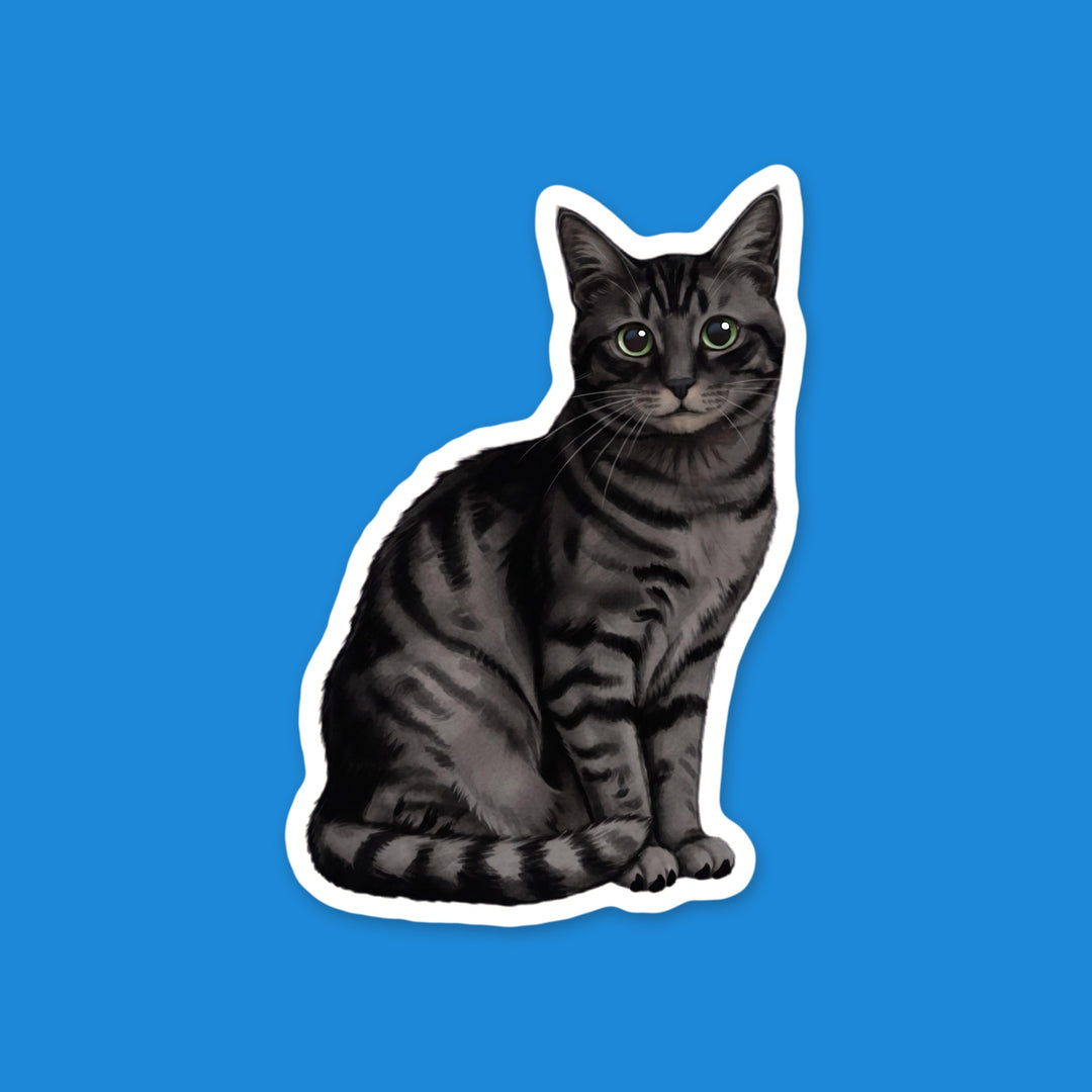 American Shorthair Black Tabby Watercolor Vinyl Sticker – Designs by Mysh