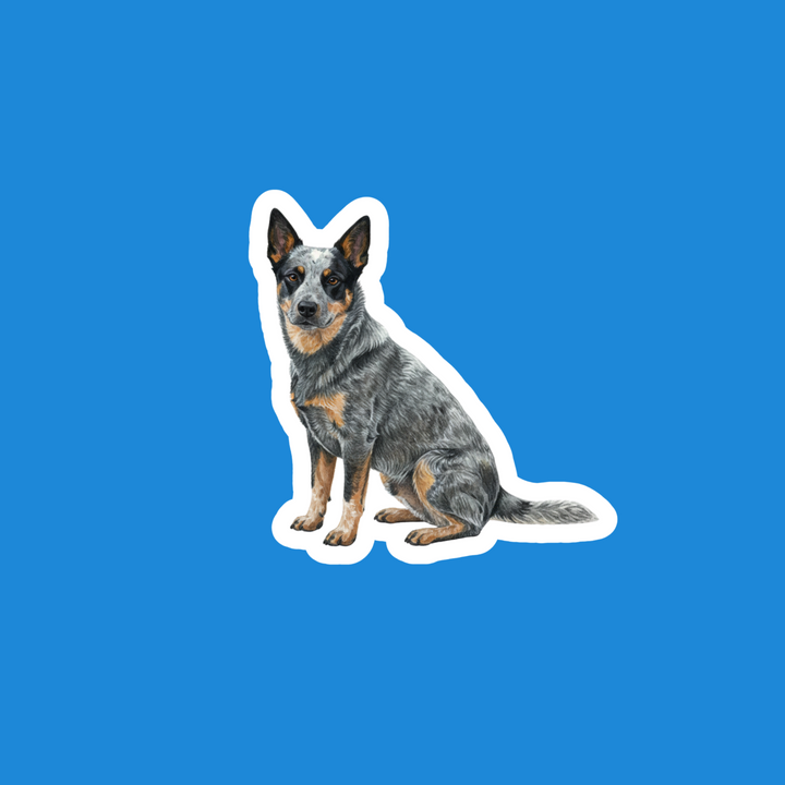 Australian Cattle Dog Blue Watercolor Vinyl Sticker – Designs by Mysh