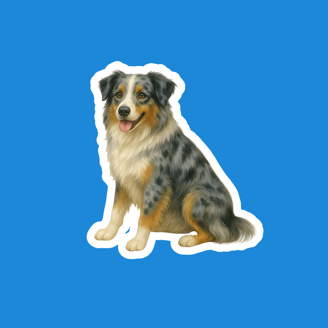 Custom pet sticker sample - Australian Shepherd, Blue Merle, Watercolor style