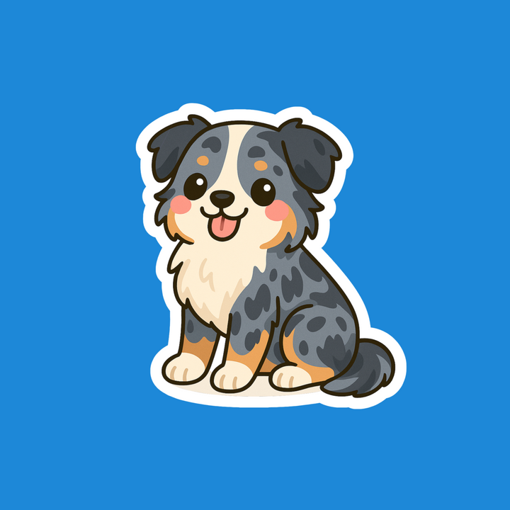 Australian shepherd Blue Merle Kawaii