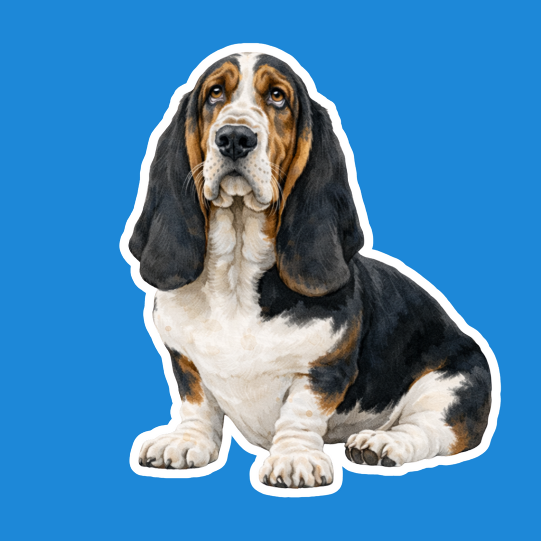 Basset Hound Black Tri Watercolor Vinyl Sticker – Designs by Mysh