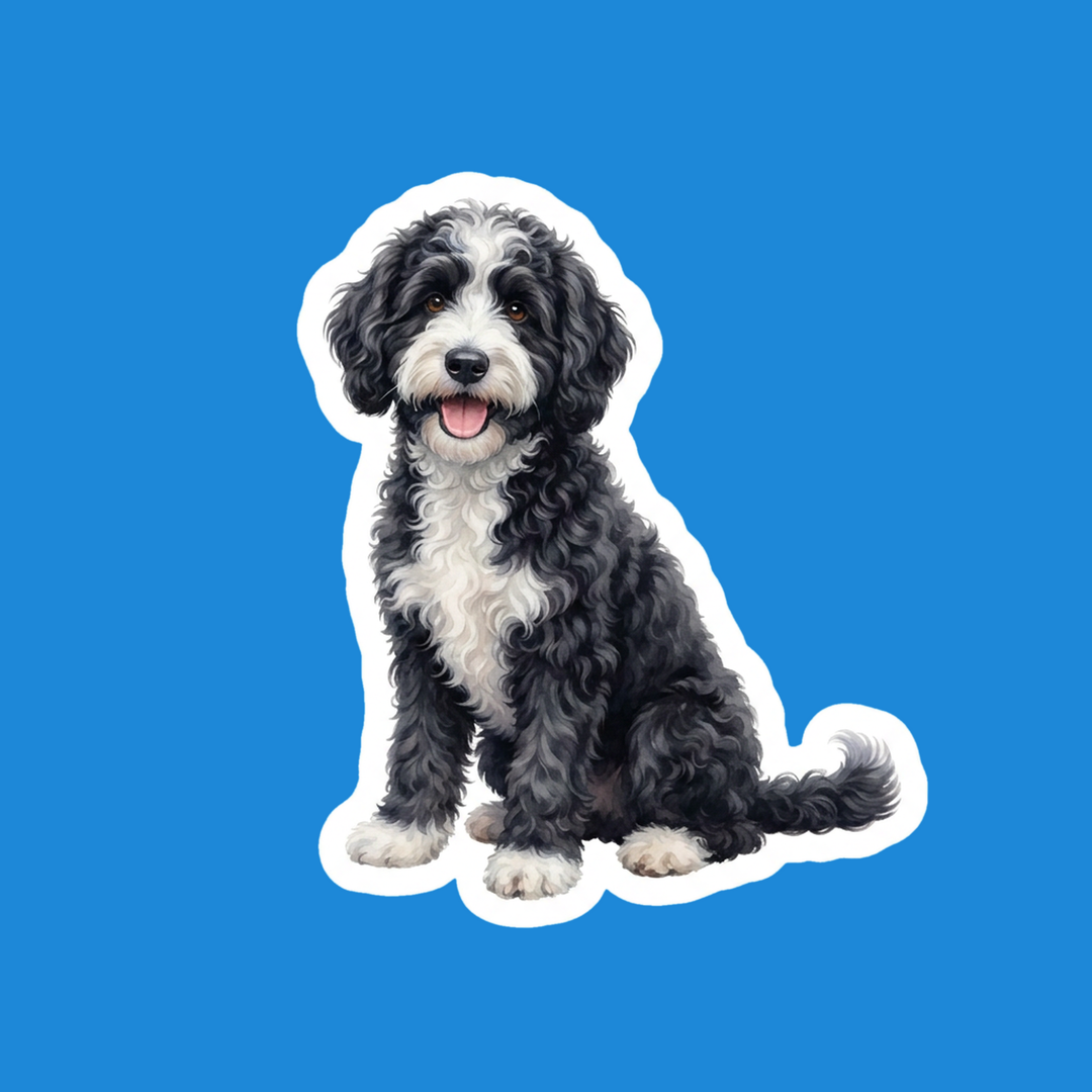 Bernedoodle Black and White Bicolor watercolor die-cut vinyl sticker