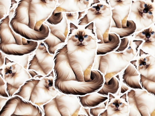 Birman Cat Sticker, Blue-Eyed Cat Vinyl Decal, Realistic Breed Art, Cat Lover Gift, Waterproof Sticker for Laptop or Bottle