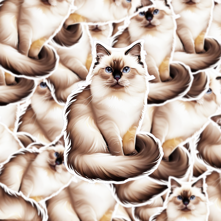Birman Cat Sticker, Blue-Eyed Cat Vinyl Decal, Realistic Breed Art, Cat Lover Gift, Water-resistant Sticker for Laptop or Bottle - Designs by Mysh
