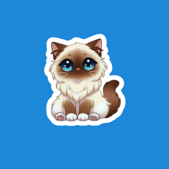 Birman Chocolate Point Kawaii Artwork – Designs by Mysh