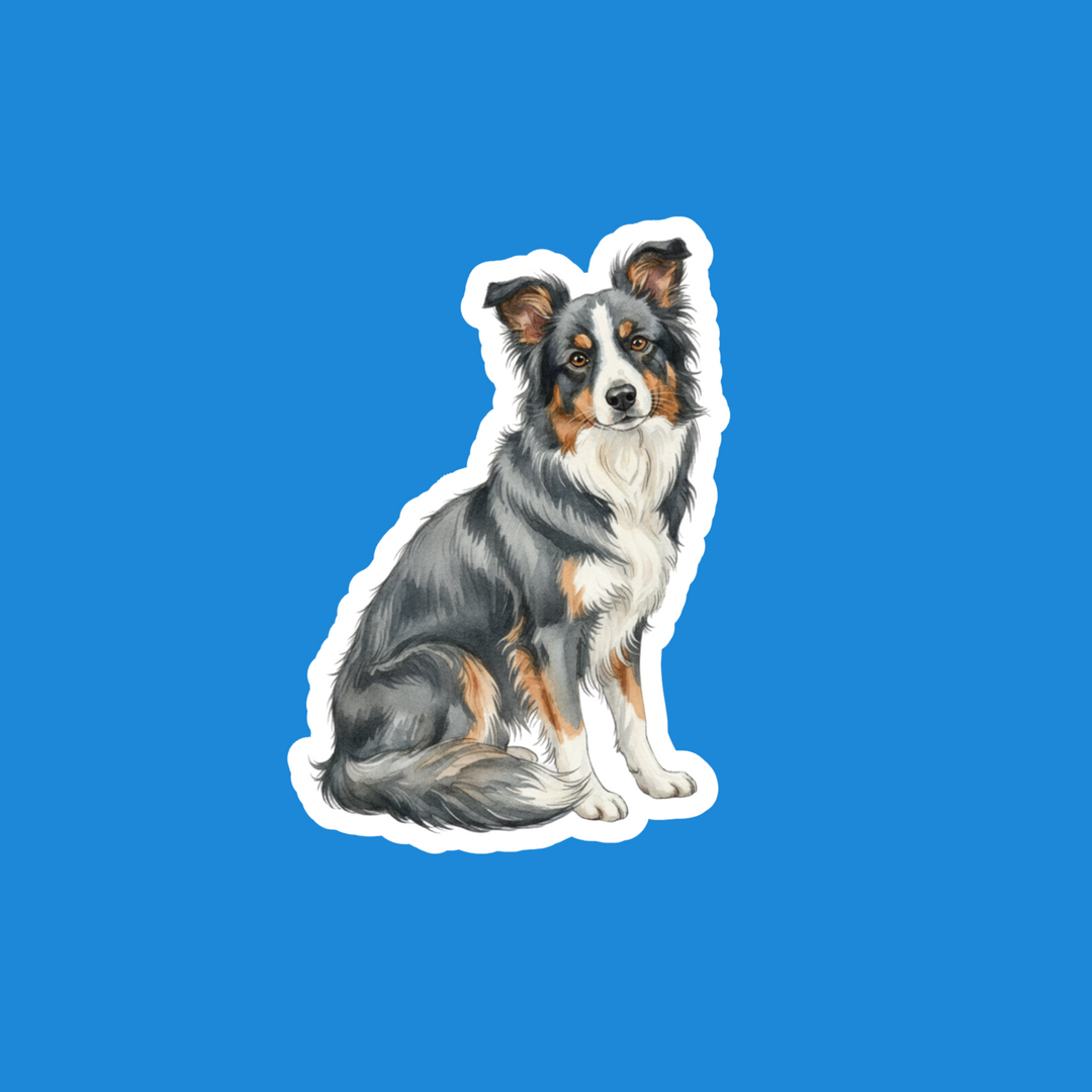 Border Collie Blue Watercolor Vinyl Sticker – Designs by Mysh