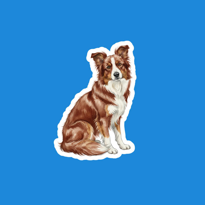 Border Collie Red Watercolor Vinyl Sticker – Designs by Mysh