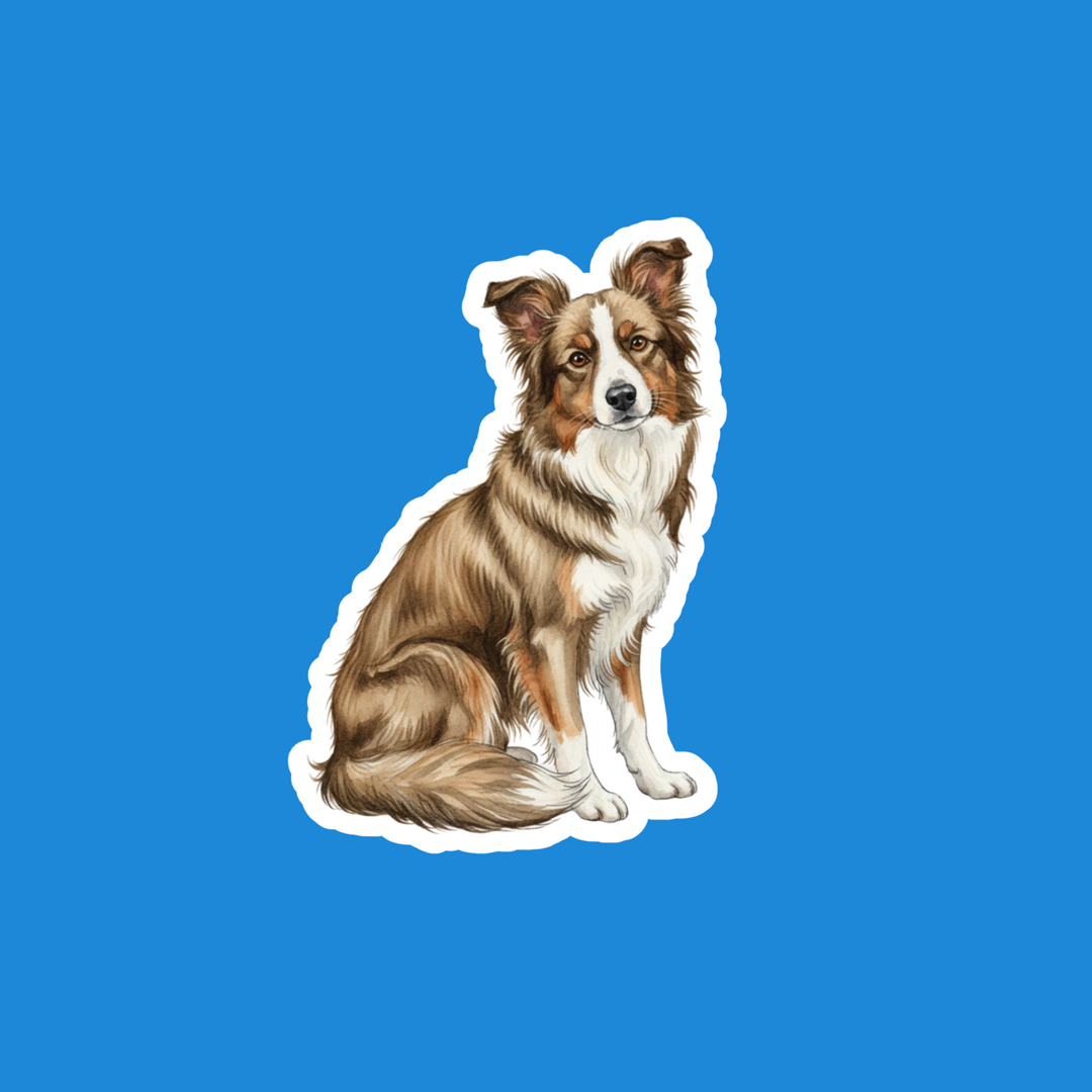 Border Collie Sable Watercolor Vinyl Sticker – Designs by Mysh