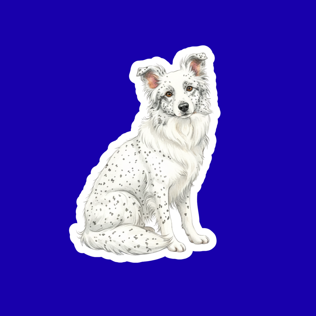 Border Collie Watercolor Style Vinyl Stickers - Designs by Mysh