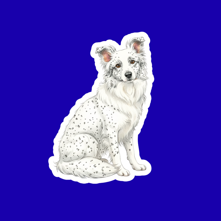 Border Collie Watercolor Style Vinyl Stickers - Designs by Mysh