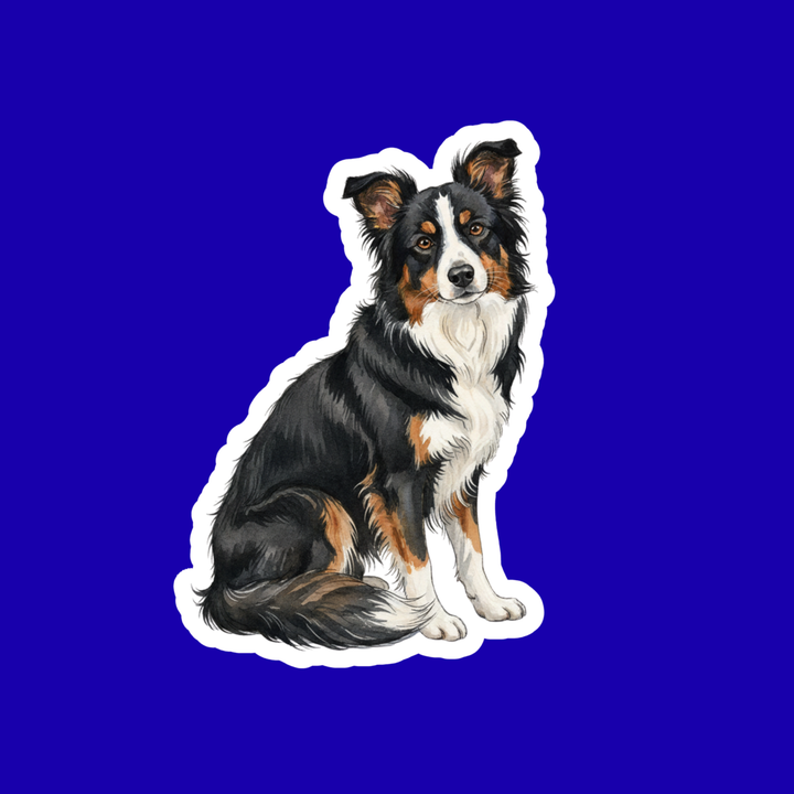 Border Collie Watercolor Style Vinyl Stickers - Designs by Mysh