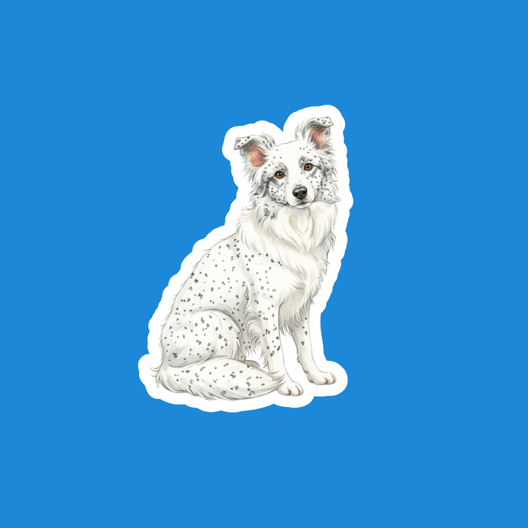 Border Collie White Ticked Watercolor Vinyl Sticker – Designs by Mysh