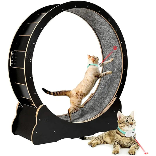 Cat Exercise Wheel for Indoor Cats Pets Easy Assembled Cat Treadmill Wheel with Locking Process and Laser Cat Toy Pet Supplies - Designs by Mysh