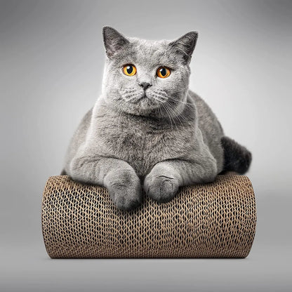 Cat Scratcher Lounge, Reversible Cat Scratching Board, Cardboard Cat Scratcher, Premium Cat Scratch Post, Durable Cat Scratchers, Cat Scratching Bed, Cat Scratching Post (XXL) - Designs by Mysh