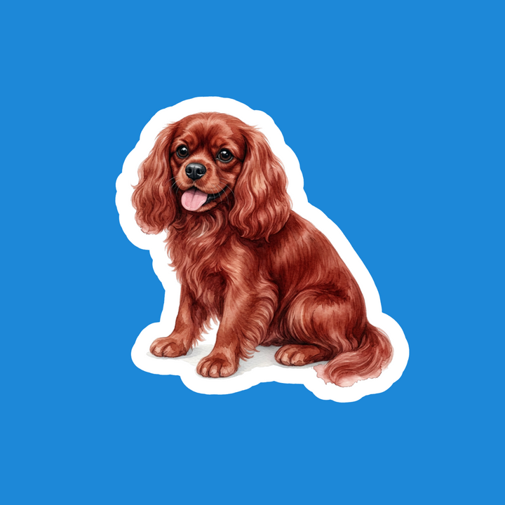 Cavalier King Charles Spaniel Ruby Watercolor – Designs by Mysh