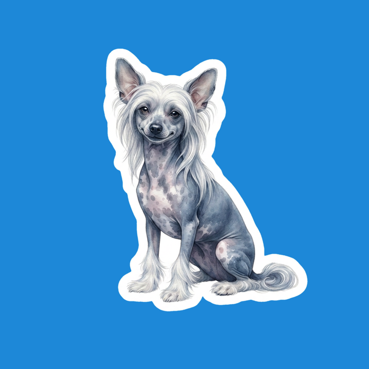 Chinese Crested Slate and White Hairless watercolor die-cut vinyl sticker