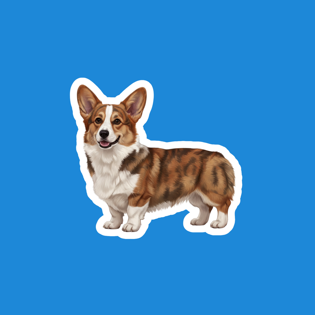 Corgi Brindle Watercolor Vinyl Sticker – Designs by Mysh