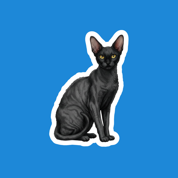 Cornish Rex Black Watercolor Cat Artwork – Designs by Mysh