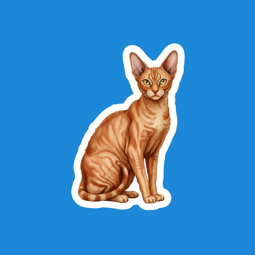 Cornish Rex Red Tabby Watercolor Cat Artwork – Designs by Mysh