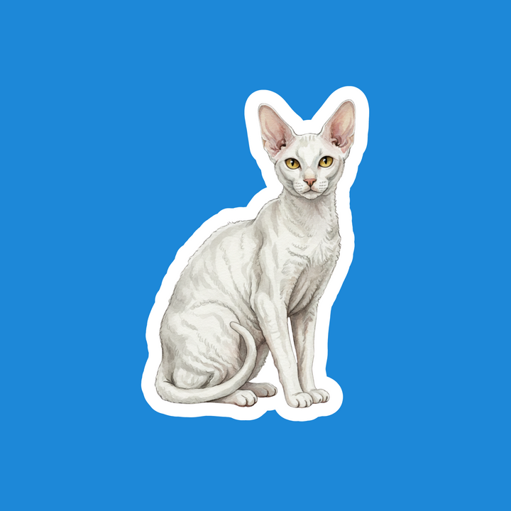 Cornish Rex White Watercolor Cat Artwork – Designs by Mysh